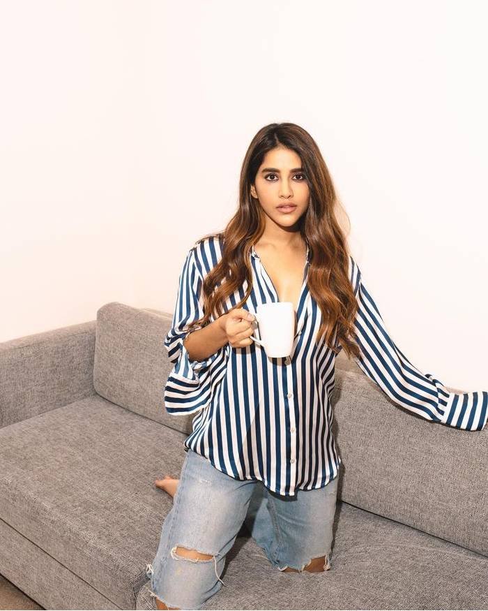 nabha natesh_teluguvox 11